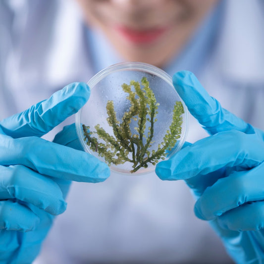 Free Resources for GED Science